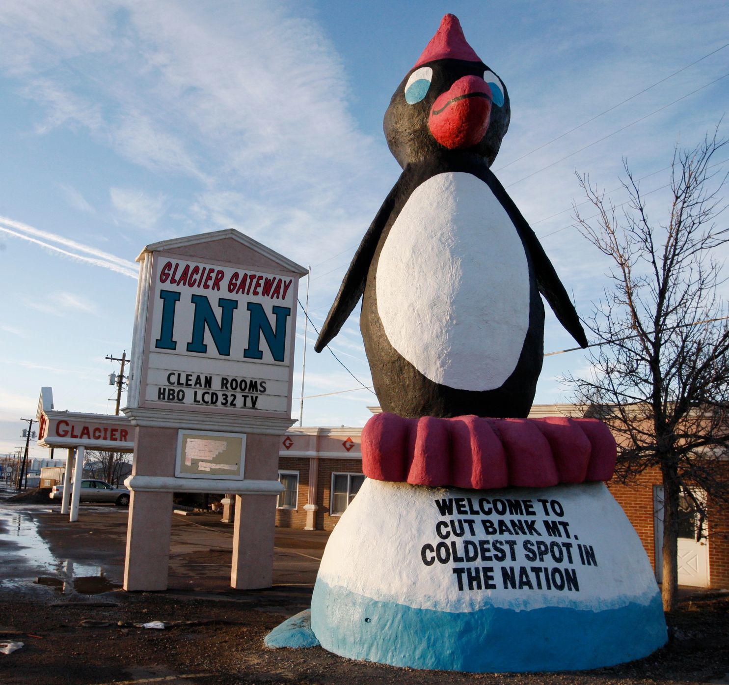 Cut Bank penguin